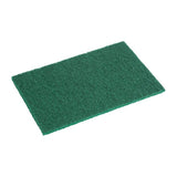 CATERING PROF GREEN SCOURING PADS (1x10S)