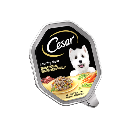 CESAR STEW CHICKEN&VEGETABLE GRAVY 14x150GRM