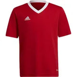 Adidas ENTRADA 22 Young Adults Jersey