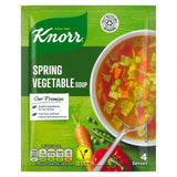 KNORR FLORIDA SPRING VEGETABLE 9x48GRM